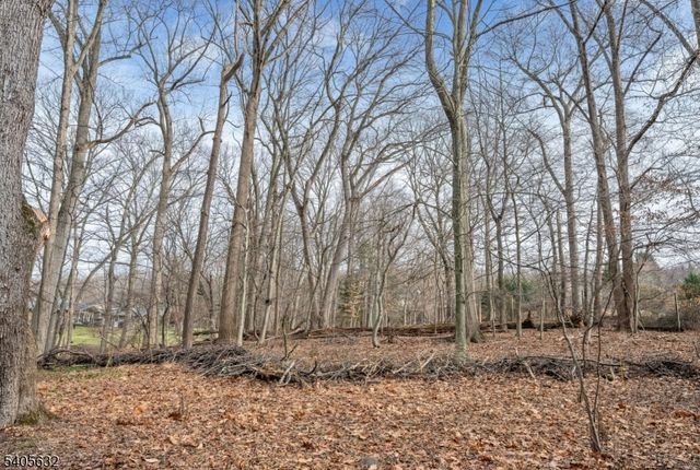 155 Hickory Ln, Closter Boro, NJ 07624