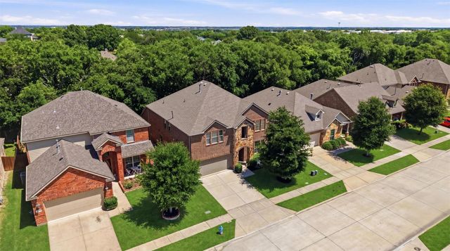 10036 Long Branch Drive, Mckinney, TX 75071