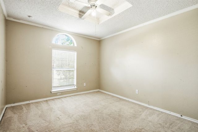 3812 Gentle Springs Drive, Arlington, TX 76001