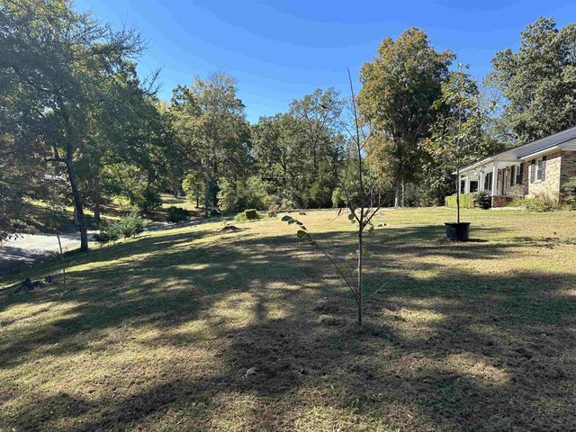 155 LEWTER ROAD RD, Crump, TN 38327