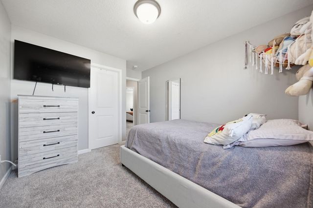 14654 Snowy Owl Street NW, Ramsey, MN 55303