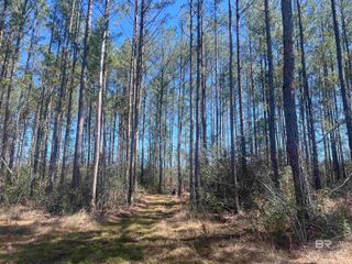 01 Robinsonville Road, Atmore, AL 36502