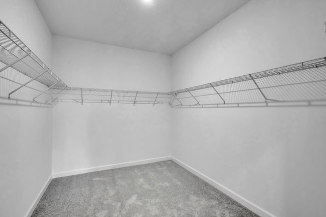 1254 Tangled Orchard Trace, The Acreage, FL 33470