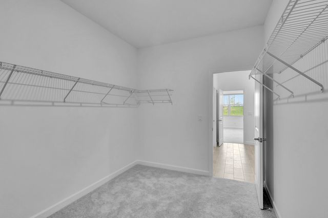 1254 Tangled Orchard Trace, The Acreage, FL 33470