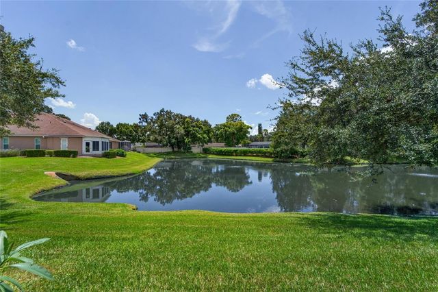 1113 SAVANNAH LANDINGS AVENUE, Valrico, FL 33596