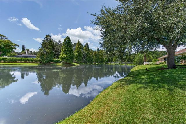 1113 SAVANNAH LANDINGS AVENUE, Valrico, FL 33596