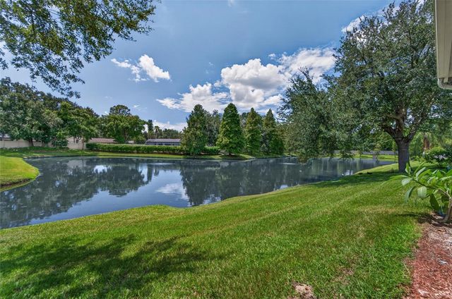 1113 SAVANNAH LANDINGS AVENUE, Valrico, FL 33596