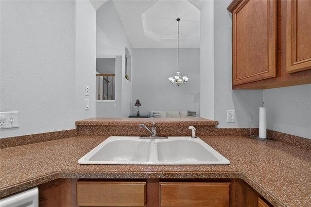 1113 SAVANNAH LANDINGS AVENUE, Valrico, FL 33596