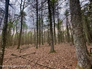 44 Cliff Road, Accord, NY 12404