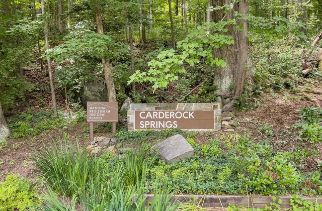 8313 Still Spring Court, Bethesda, MD 20817