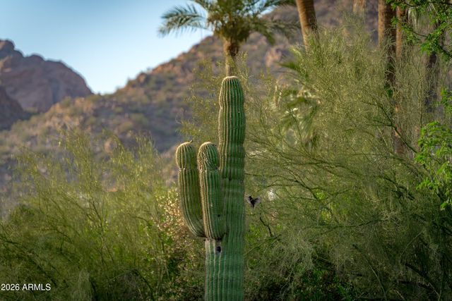 5434 E CAMELHILL Road, Phoenix, AZ 85018