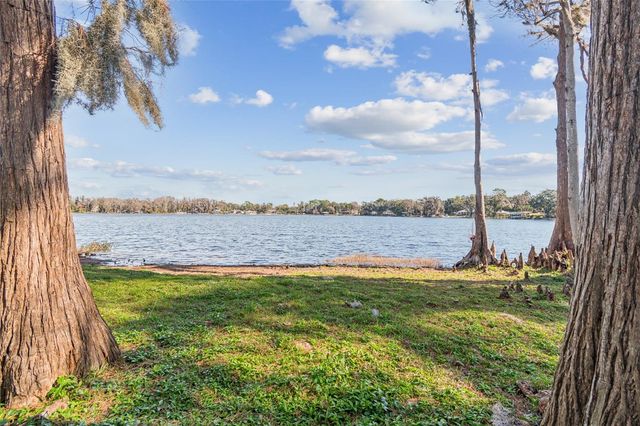 14151 WADSWORTH DRIVE, Odessa, FL 33556