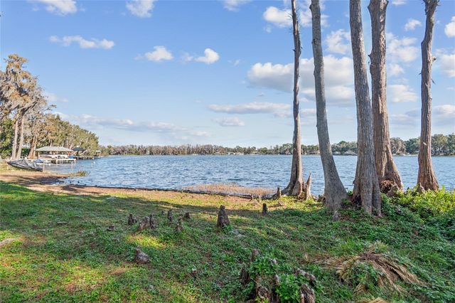 14151 WADSWORTH DRIVE, Odessa, FL 33556