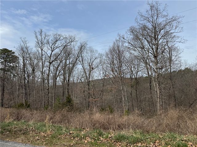 0 CO RD 108, Eureka Springs, AR 72632