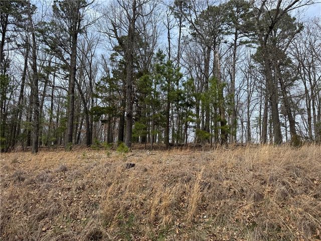 0 CO RD 108, Eureka Springs, AR 72632