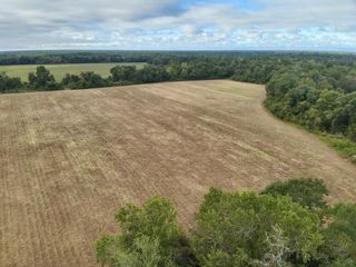 49+/- Acres Mt Zion Road, Cottonwood, AL 36320