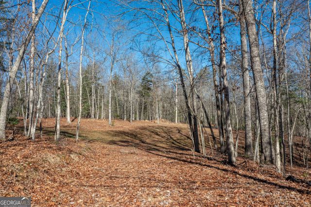 4011 Murphy Highway, Mineral Bluff, GA 30559