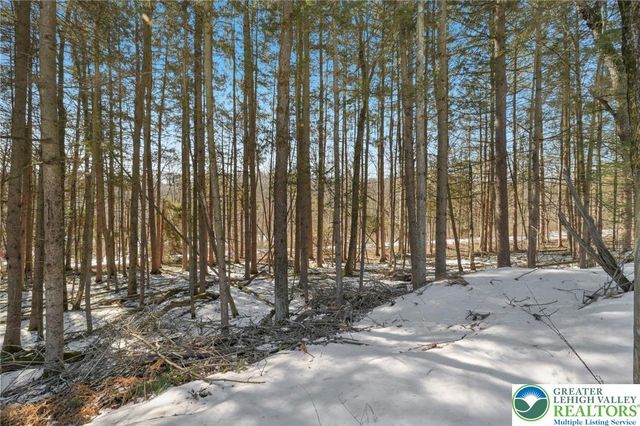 4 Codorus, Ryan Twp, PA 18214