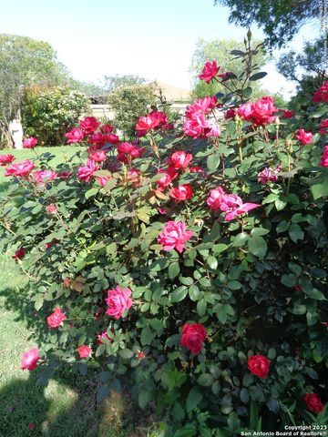 5511 Eaglewood St, San Antonio, TX 78233