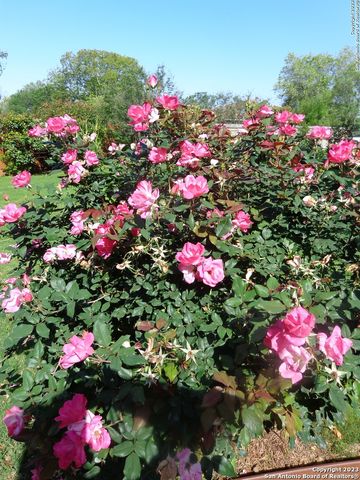 5511 Eaglewood St, San Antonio, TX 78233