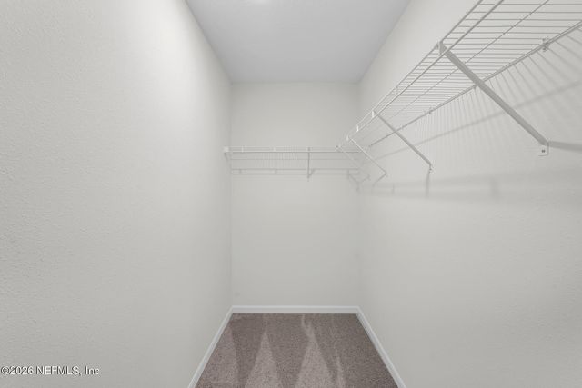 6949 CANOE BIRCH Road, Jacksonville, FL 32219