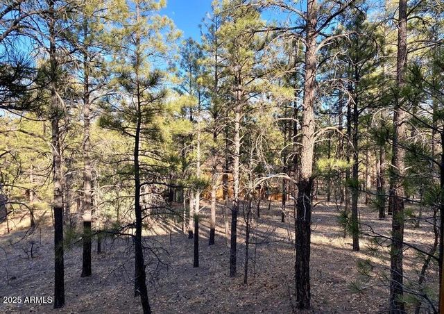 1100 S Pinon Circle, Show Low, AZ 85901