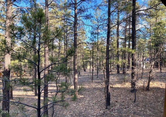 1100 S Pinon Circle, Show Low, AZ 85901