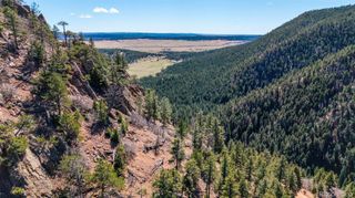 13912 Woodmoor West Drive, Larkspur, CO 80118
