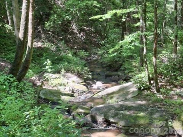 630 Shumont Road, Black Mountain, NC 28711
