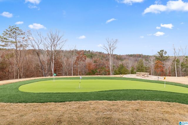 304 TIMBERVIEW TRAIL, Chelsea, AL 35043