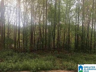 6783 IVY WAY, Trussville, AL 35173