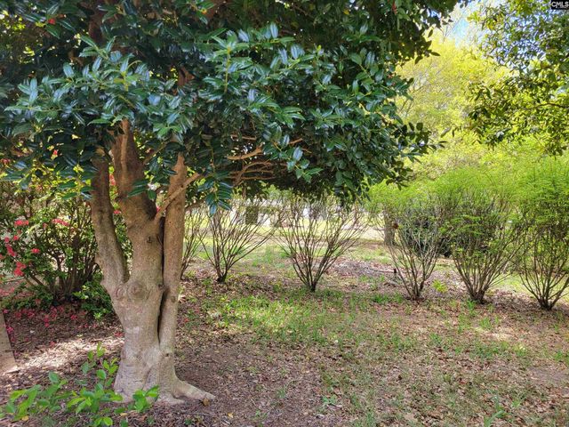 151 Sandpit Court, Leesville, SC 29070