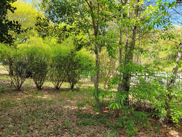 151 Sandpit Court, Leesville, SC 29070