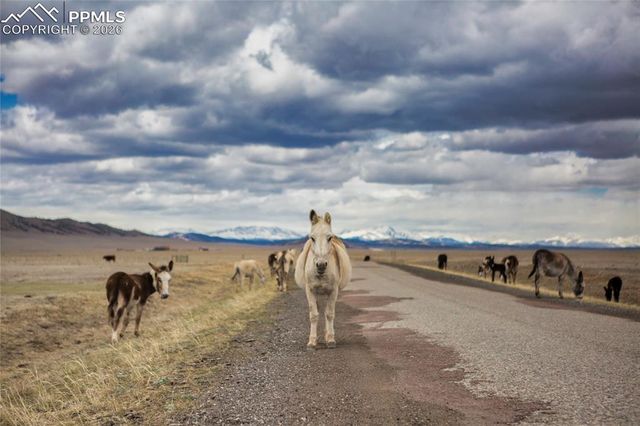 790 Tiara Road, Lake George, CO 80827