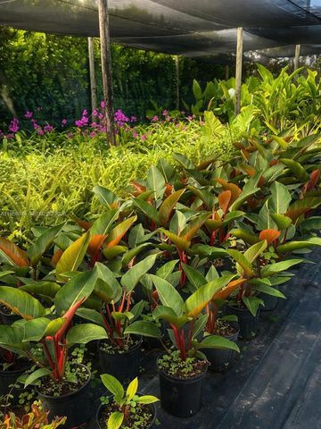 28000 SW 157th Ave, Homestead, FL 33033