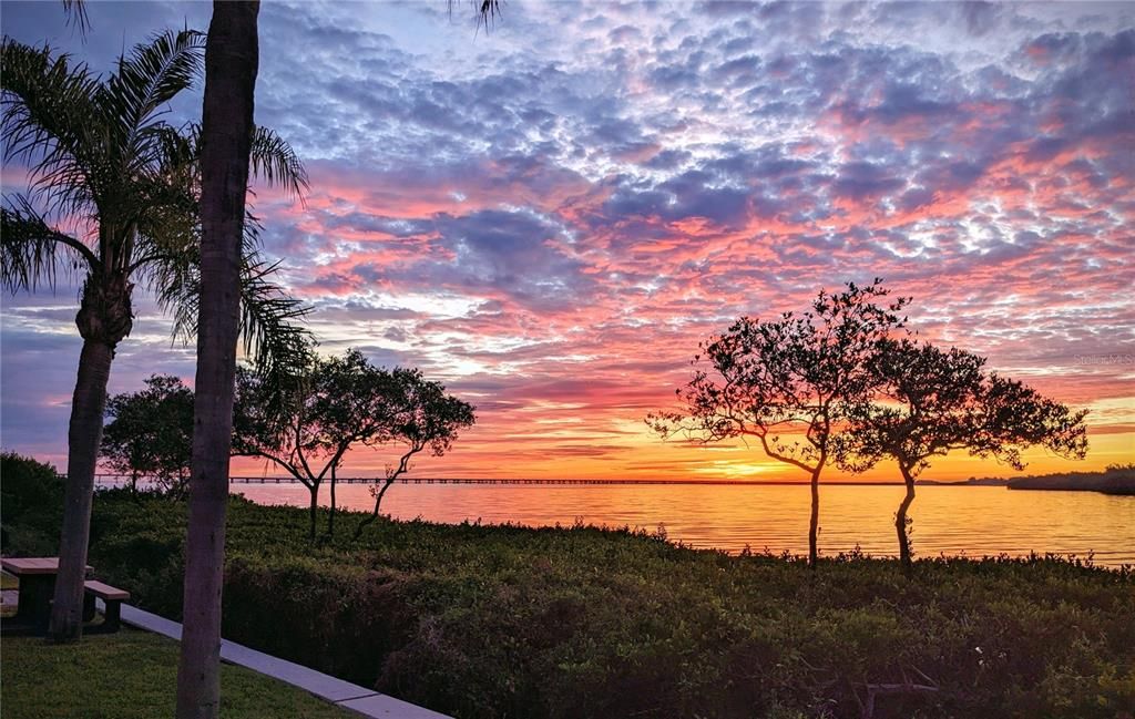 2739 VIA CAPRI 1039, Clearwater, FL 33764
