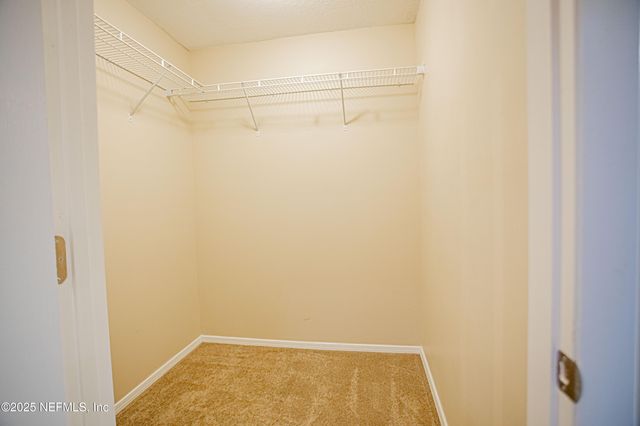 1809 LITCHI Court, Orange Park, FL 32073