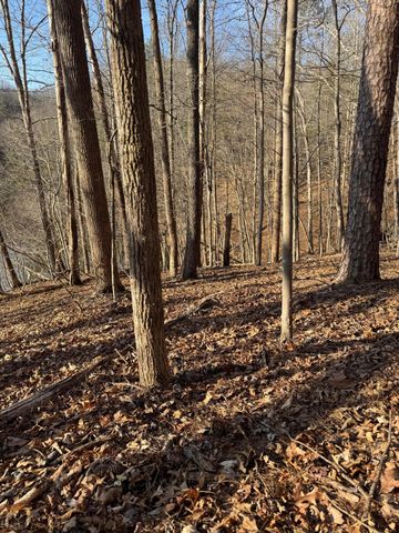 Lot 26 Poplar DR, Hardy, VA 24101
