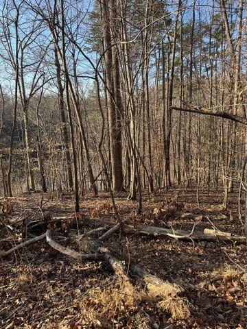 Lot 26 Poplar DR, Hardy, VA 24101
