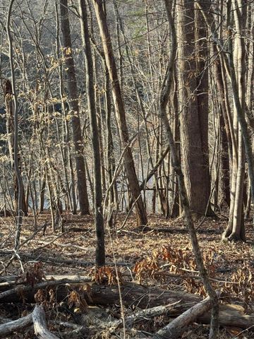 Lot 26 Poplar DR, Hardy, VA 24101