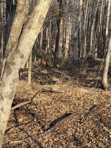 Lot 26 Poplar DR, Hardy, VA 24101