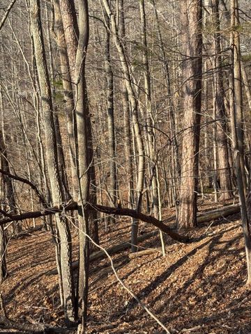 Lot 26 Poplar DR, Hardy, VA 24101