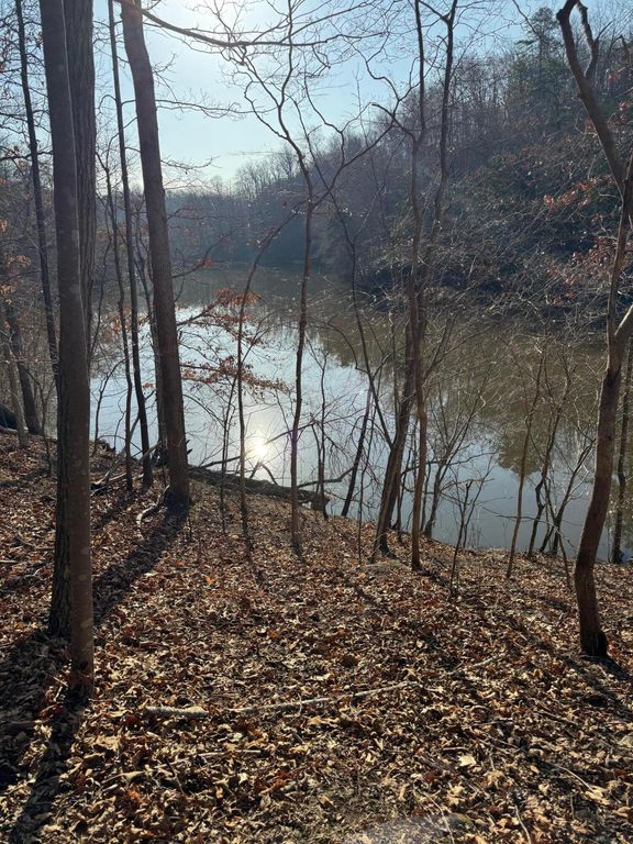 Lot 26 Poplar DR, Hardy, VA 24101