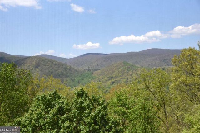 327 Prospectors Pass, Ellijay, GA 30536