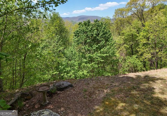 327 Prospectors Pass, Ellijay, GA 30536