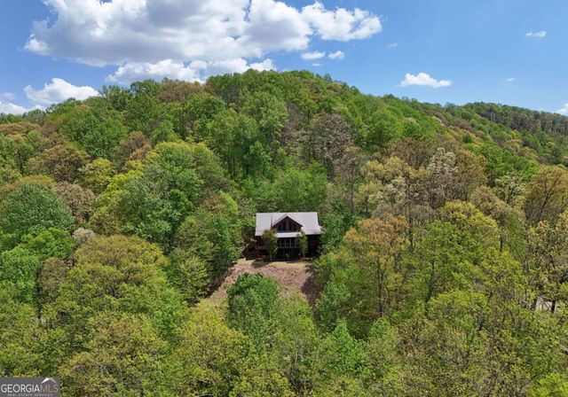 327 Prospectors Pass, Ellijay, GA 30536