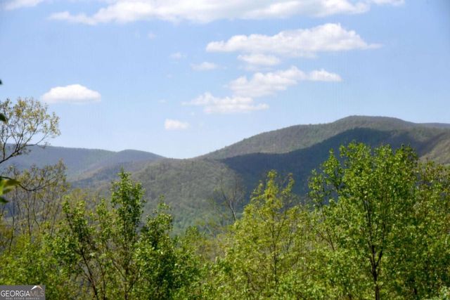 327 Prospectors Pass, Ellijay, GA 30536