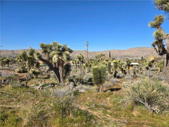 55000 Bunny, Yucca Valley, CA 92284