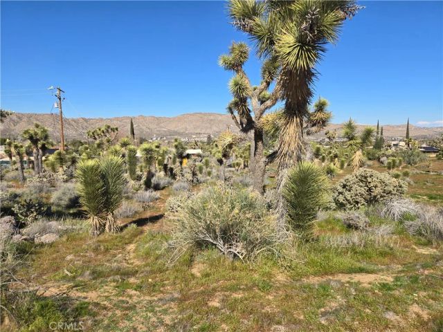 55000 Bunny, Yucca Valley, CA 92284