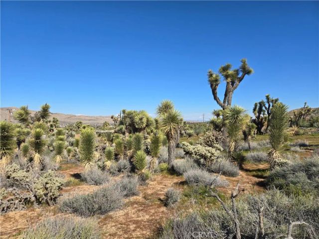 55000 Bunny, Yucca Valley, CA 92284